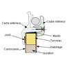 BAIE COULISSANTE DOMETIC / SEITZ S4 / 700X400mm