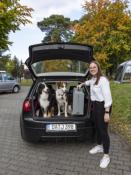 RAMPE POUR CHIEN PLIANTE EMMA