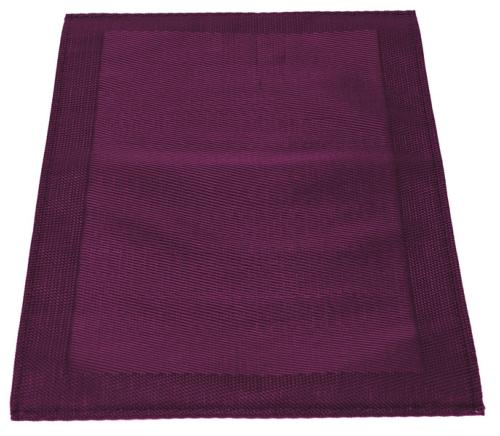 SET DE TABLE EN PVC COLORIS MYRTILLE - LOT DE 2 