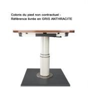 PIED DE TABLE TELESCOPIQUE 335/710mm PLATEAU COULISSANT