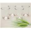 LOT DE 4 PETITS VERRES A DIGESTIF polycaronate - 50ml