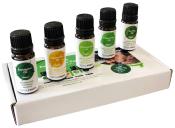 HUILES ESSENTIELLES POUR RAFRAICHISSEUR TOTALCOOL
