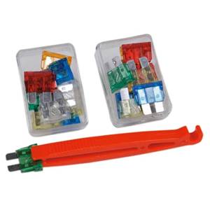 KIT 22 FUSIBLES FICHES PLATES + PINCE