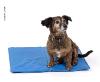 TAPIS REFRIGERANT 64x48cm COOL POUR CHIEN