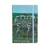 CARNET VW collection SAFARI