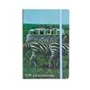 CARNET VW collection SAFARI