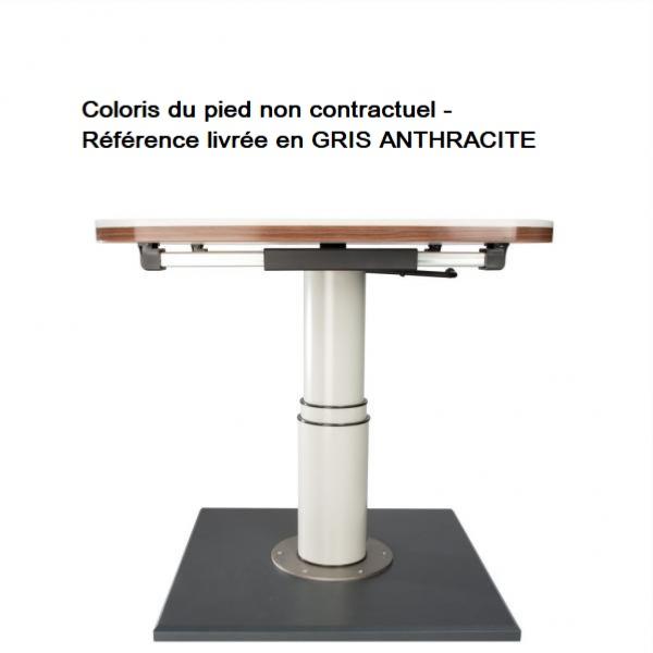 Ilse pied de table télescopique indépendant gris