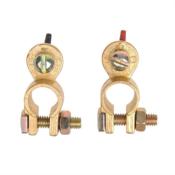 BORNE DE BATTERIE A VIS + / - LOT DE 2 PIECES