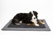 TAPIS COUVERTURE POUR CHIEN 100x65cm ABBY