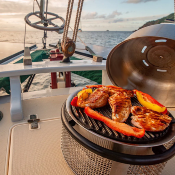 BARBECUE A BRIQUETTE COBB Premier Air Deluxe