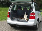 TAPIS COUVERTURE POUR CHIEN 100x65cm ABBY