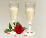 FLUTE A CHAMPAGNE POLYCARBONAT CAMP4 PROVENCE - LOT DE 2