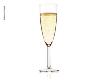 2 FLUTES A CHAMPAGNE COPOLYESTER ANDALUCIA 16CL