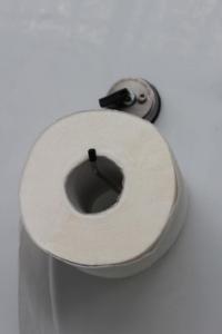 Support  ventouse acier inoxyable MULTIFIX pour rouleau papier WC
