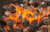 BRIQUETTES DE CHARBON CASUS POUR BARBECUE GRILL - 1 Kg