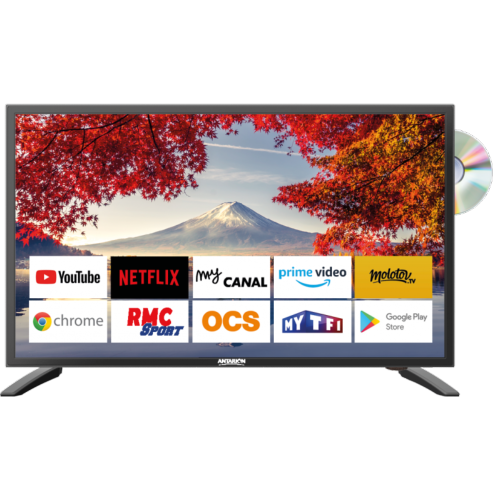 SMART TV - TELEVISEUR ANTARION TV 19" avec DVD