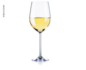 2 VERRES A VIN COPOLYESTER ANDALUCIA 37CL