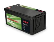 BATTERIE AGM GREEN POWER NDS GP210