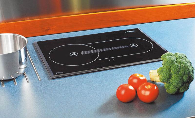 Plaque De Cuisson Vitroceramique Diesel X100 Webasto