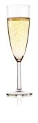 FLUTE A CHAMPAGNE COPOLYESTER ANDALUCIA 16CL - LOT DE 2 PIECES