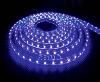 BANDE LEDS A COLLER - COULEUR BLEUE - ROULEAU DE 5 M