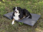 MATELAS POUR CHIEN POUR PLAGE ARRIERE DES VW T5 / T6 California 