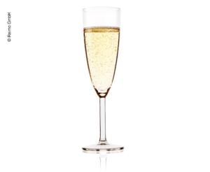 2 FLUTES A CHAMPAGNE COPOLYESTER ANDALUCIA 16CL